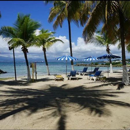Grand Bleu-Superbe T2 Vue Mer & Acces Plage Le Gosier  Exterior foto